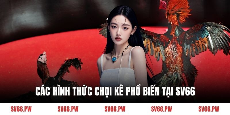 Các hình thức chọi kê phổ biến tại SV66