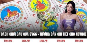 cách chơi bầu cua