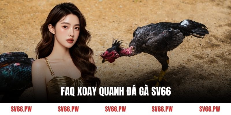 FAQ xoay quanh đá gà SV66