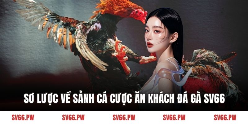 Sơ lược về sảnh cá cược ăn khách đá gà SV66